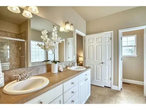 Bath - 290 Clark Ct, Windsor, CO 80550 photo 1 of 4