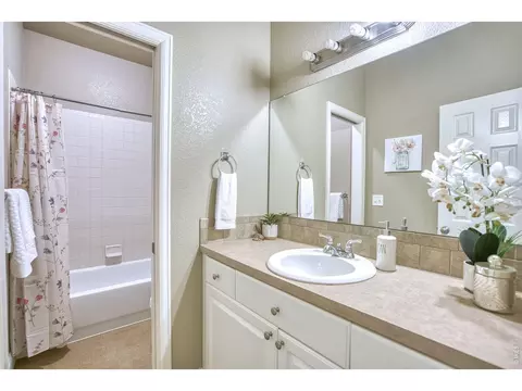 Bath - 290 Clark Ct, Windsor, CO 80550 photo 3 of 4