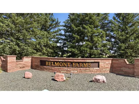 39841 Hilltop Cir, Severance, CO 80610 photo 16
