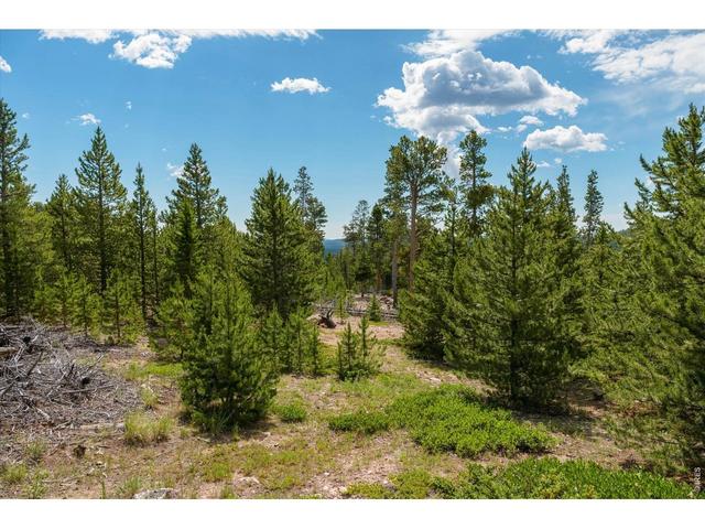 410 Pearl Creek Rd, Red Feather Lakes, CO 80545