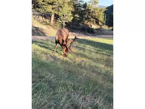 408 Meadowview Dr, Estes Park, CO 80517