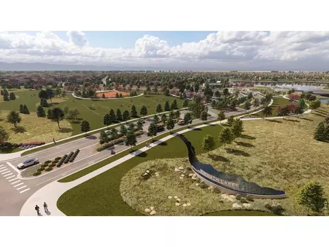 4183 Strolling St, Timnath, CO 80547 photo 6