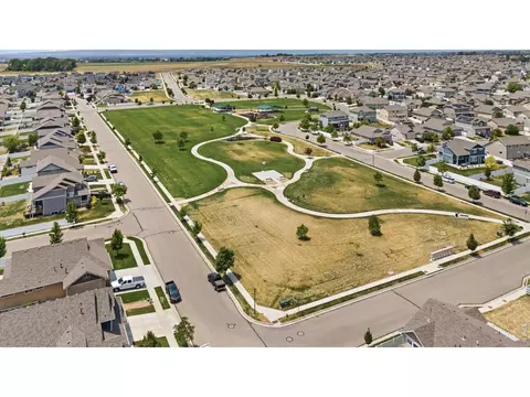 View/Area - 270 Mt Harvard Ave, Windsor, CO 80550 photo 6 of 7