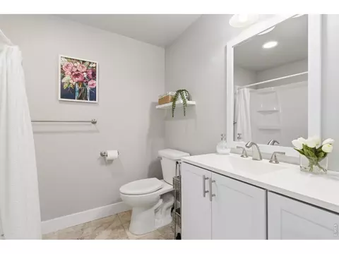 Bath - 270 Mt Harvard Ave, Windsor, CO 80550 photo 6 of 6