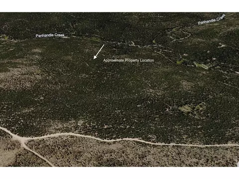 0 Forest Service 169 Lot Apt 10 Rd, Red Feather Lakes, CO 80545