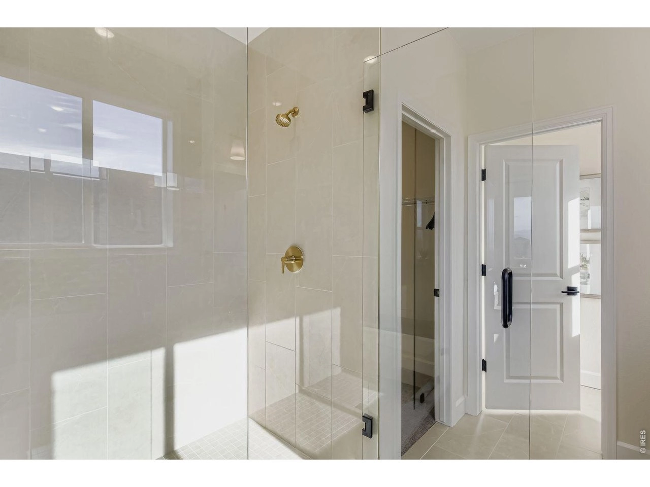 598 Noola St, Windsor, CO 80550 photo 23