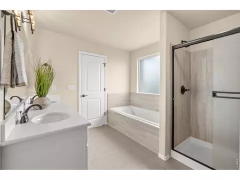 Bath - 2134 Day Spring Dr, Windsor, CO 80550 photo 4 of 6