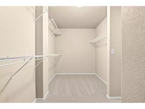 Other - 2134 Day Spring Dr, Windsor, CO 80550 photo 3 of 8
