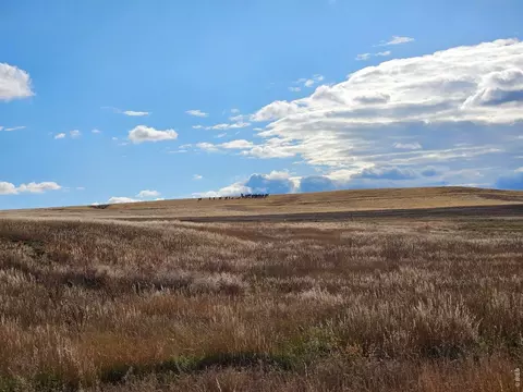 0 Levity Way, Berthoud, CO 80513 photo 13