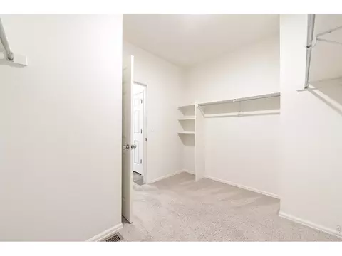 Other - 413 Harrow St, Severance, CO 80550 photo 1 of 6