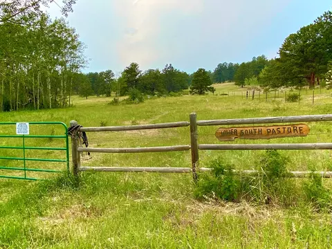 Entry Way - 636 Ranch Rd, Ward, CO 80481 photo 1 of 1