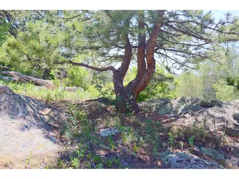 Other - 636 Ranch Rd, Ward, CO 80481 photo 9 of 14