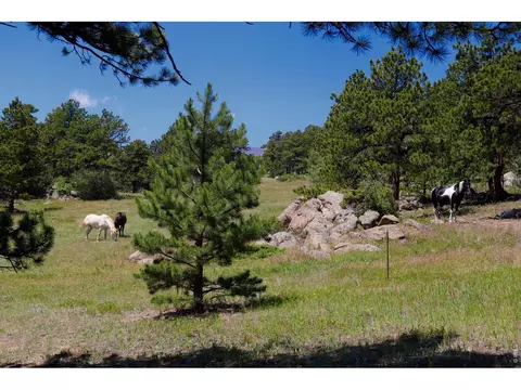 Other - 636 Ranch Rd, Ward, CO 80481 photo 3 of 14