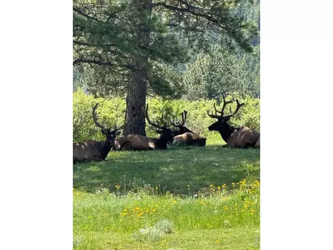 Other - 270 Choctaw Rd, Lyons, CO 80540 photo 2 of 9