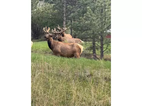Other - 270 Choctaw Rd, Lyons, CO 80540 photo 8 of 9