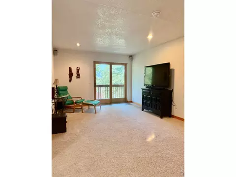 Living - 1108 Eagle Dr, Lyons, CO 80540 photo 3 of 3