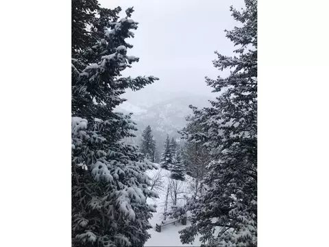 Other - 1108 Eagle Dr, Lyons, CO 80540 photo 14 of 14