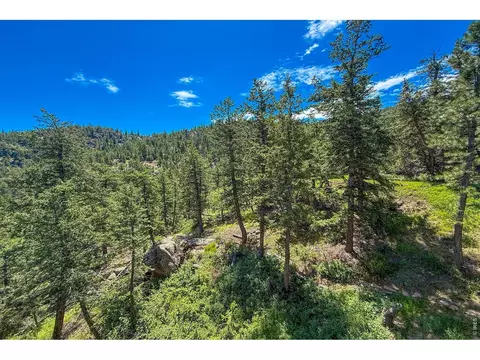 Other - 1108 Eagle Dr, Lyons, CO 80540 photo 7 of 14