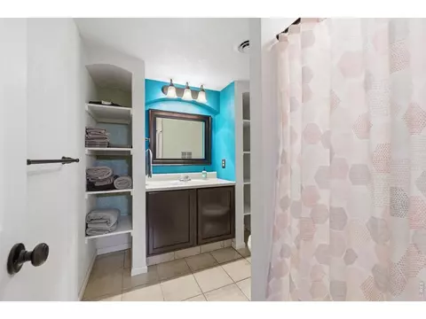 Bath - 216 Chestnut St, Windsor, CO 80550 photo 4 of 4