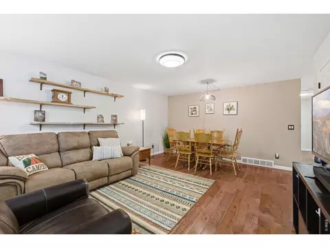 Living - 216 Chestnut St, Windsor, CO 80550 photo 1 of 5