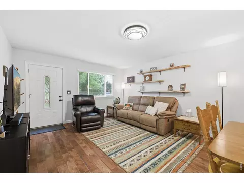 Living - 216 Chestnut St, Windsor, CO 80550 photo 2 of 5