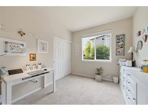 Other - 520 Botley Ct, Windsor, CO 80550 photo 1 of 6