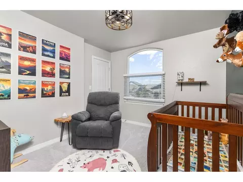 1383 Copeland Falls Rd, Windsor, CO 80550 photo 17