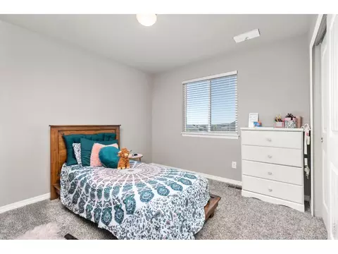 1383 Copeland Falls Rd, Windsor, CO 80550 photo 18