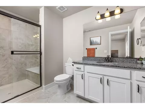 Bath - 2176 Day Spring Dr, Windsor, CO 80550 photo 6 of 6