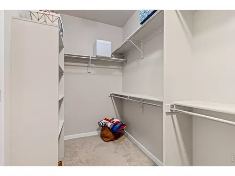 Other - 2176 Day Spring Dr, Windsor, CO 80550 photo 2 of 11