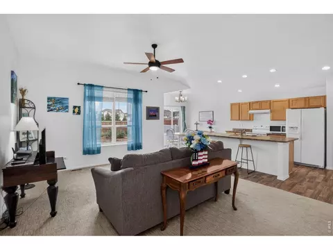 703 Cavern St, Severance, CO 80550 photo 5