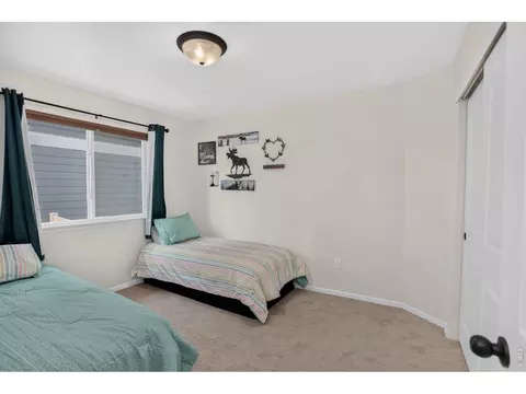 703 Cavern St, Severance, CO 80550 photo 16