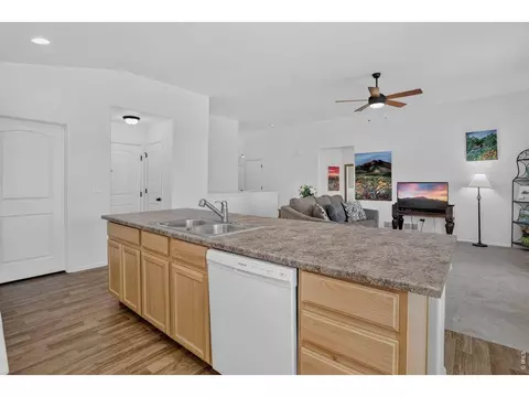 703 Cavern St, Severance, CO 80550 photo 10