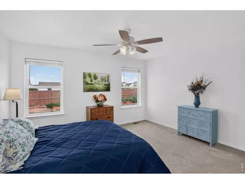 703 Cavern St, Severance, CO 80550 photo 22