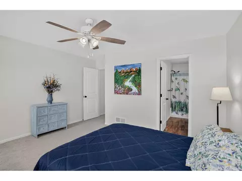 703 Cavern St, Severance, CO 80550 photo 24