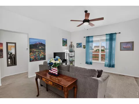 703 Cavern St, Severance, CO 80550 photo 6