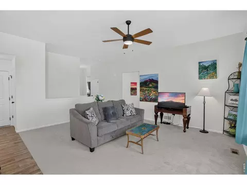 703 Cavern St, Severance, CO 80550 photo 7