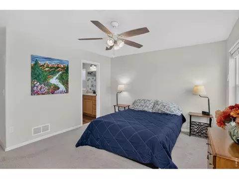 703 Cavern St, Severance, CO 80550 photo 23