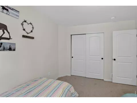 703 Cavern St, Severance, CO 80550 photo 17