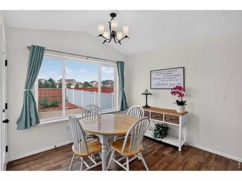 703 Cavern St, Severance, CO 80550 photo 14