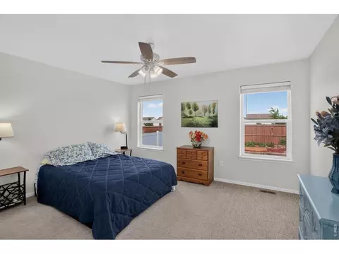 703 Cavern St, Severance, CO 80550 photo 21