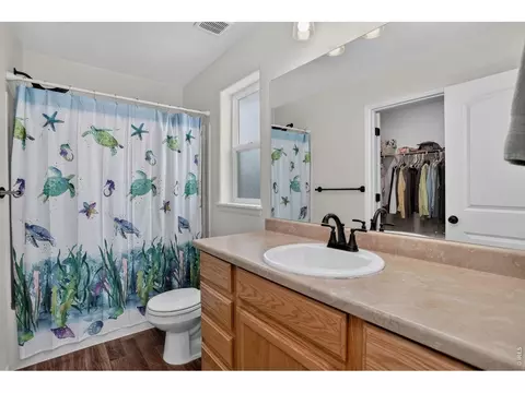 703 Cavern St, Severance, CO 80550 photo 25