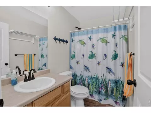703 Cavern St, Severance, CO 80550 photo 18