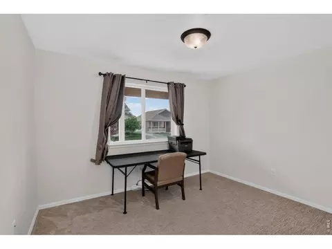 703 Cavern St, Severance, CO 80550 photo 19