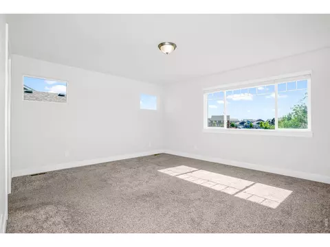 1279 Baker Pass St, Windsor, CO 80550 photo 32