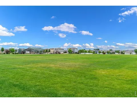 1279 Baker Pass St, Windsor, CO 80550 photo 27