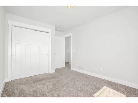 1279 Baker Pass St, Windsor, CO 80550 photo 13
