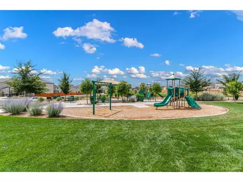 1279 Baker Pass St, Windsor, CO 80550 photo 21