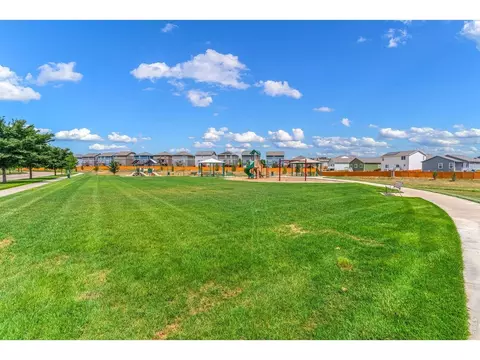 View/Area - 1279 Baker Pass St, Windsor, CO 80550 photo 4 of 7