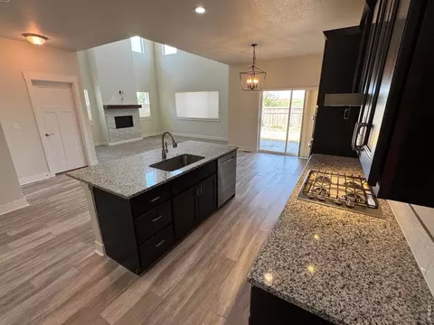 1279 Baker Pass St, Windsor, CO 80550 photo 10